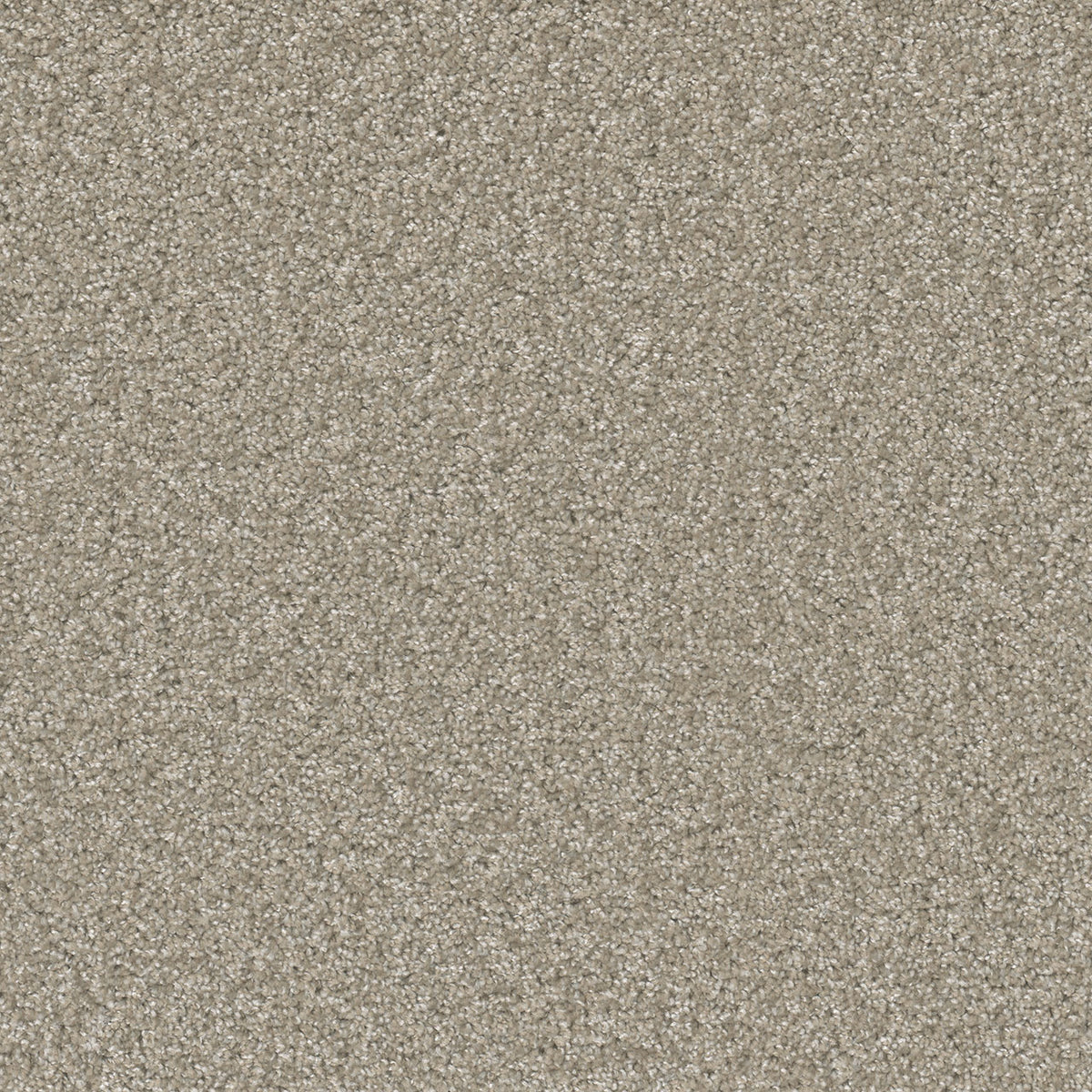 SP251 - Clam Shell