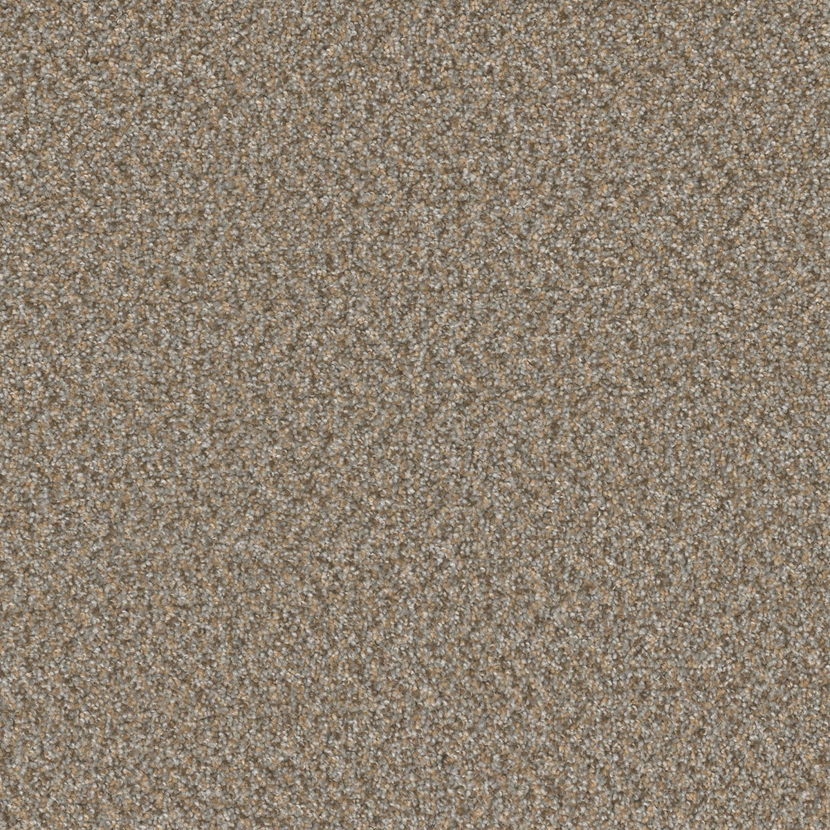 SP251 - Siesta