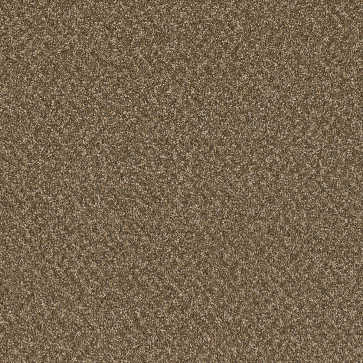 SP251 - Mocha Beige