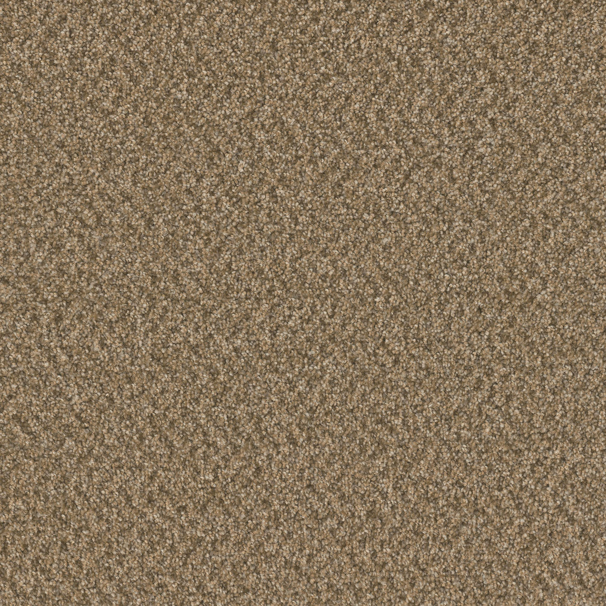 SP251 - Aged Leather