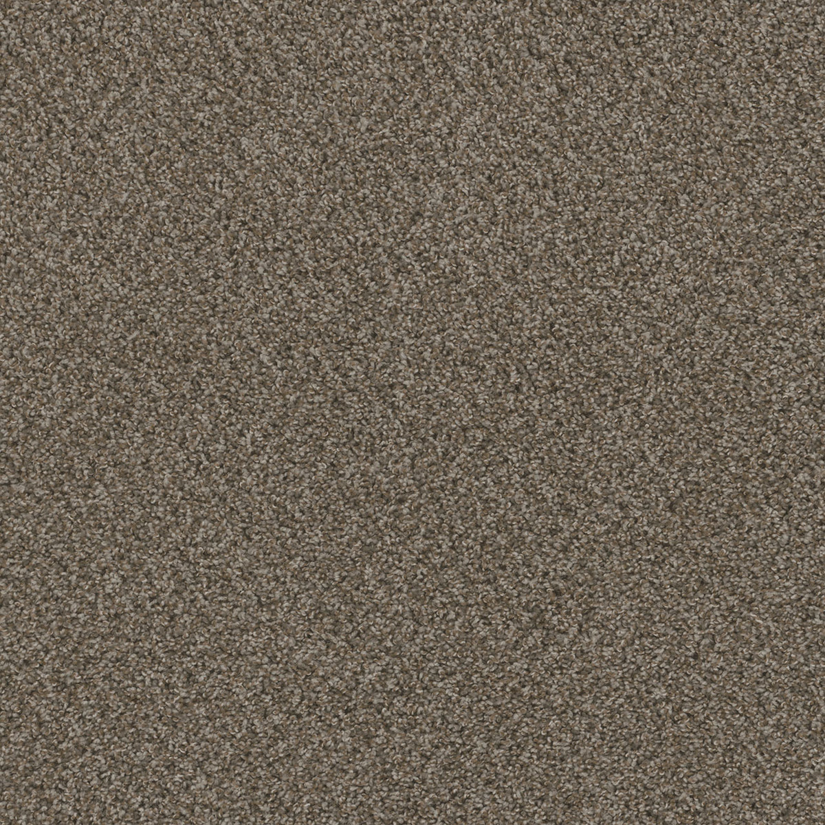 SP251 - Desert Jasper