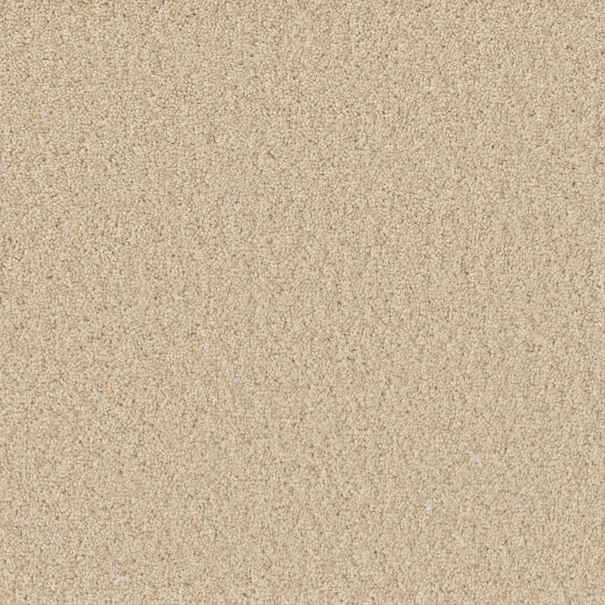 SP251 - Classic Ivory