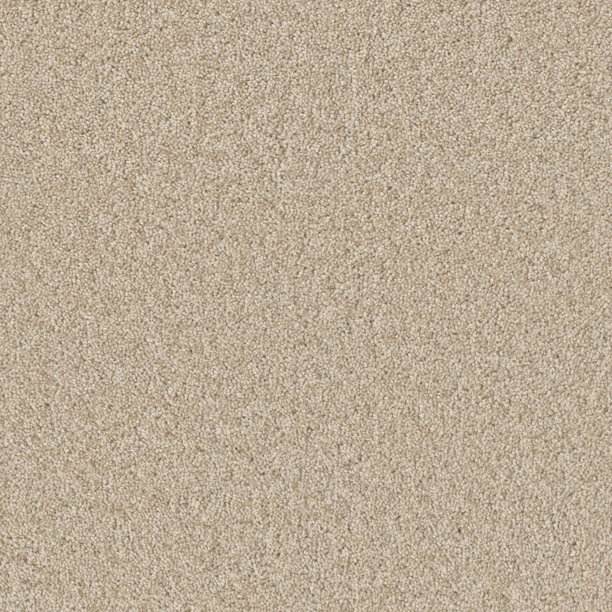 SP251 - Light Bisque