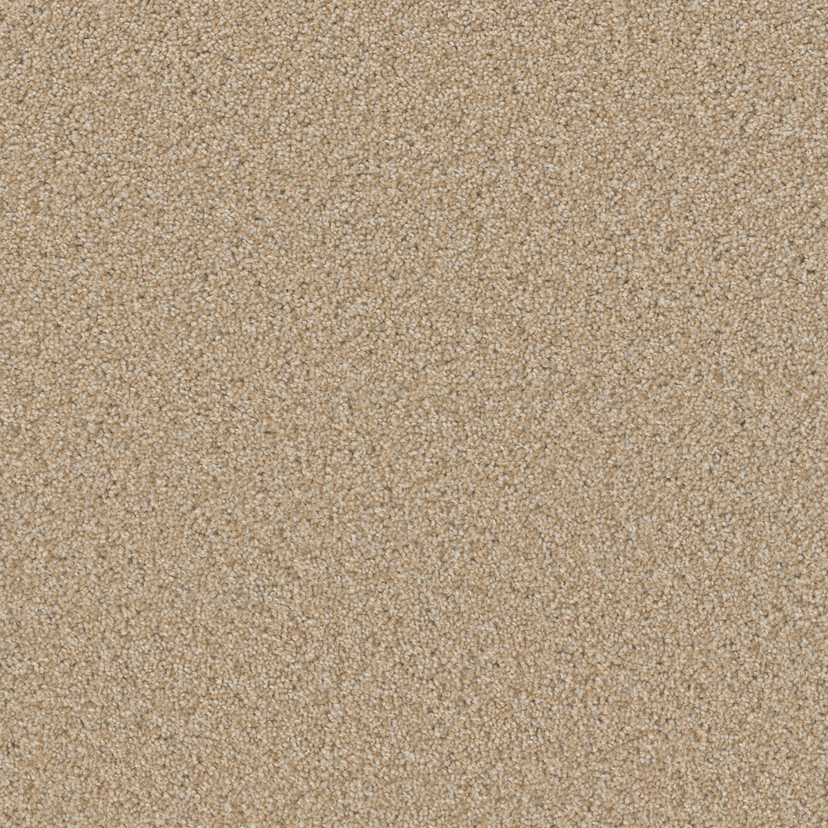 SP251 - Frosted Clay