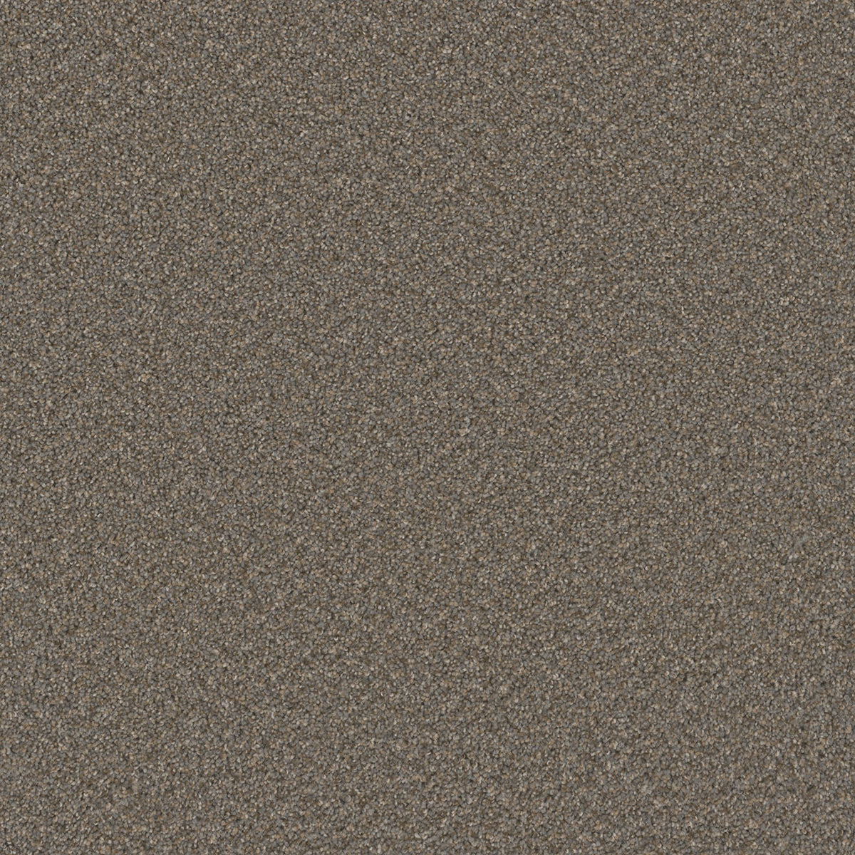 SP251 - Field Slate