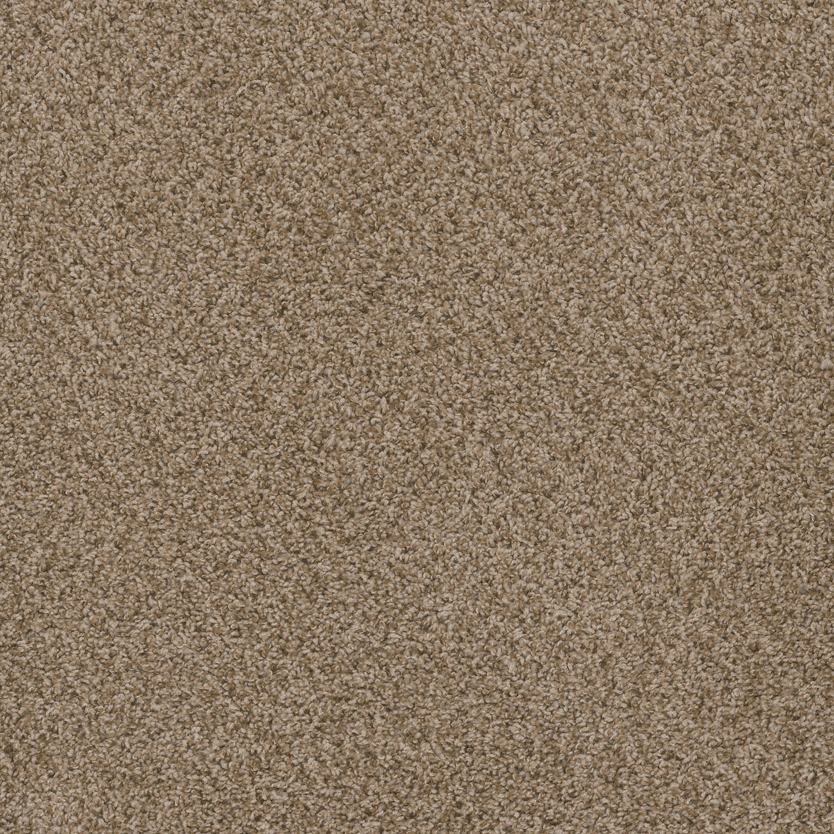 SP251 - Sandlot