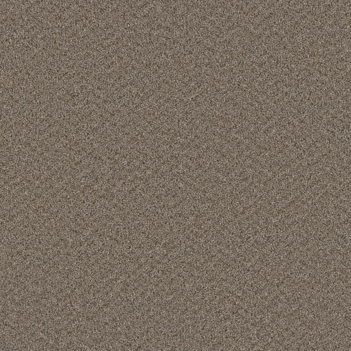 SP251 - Cinder