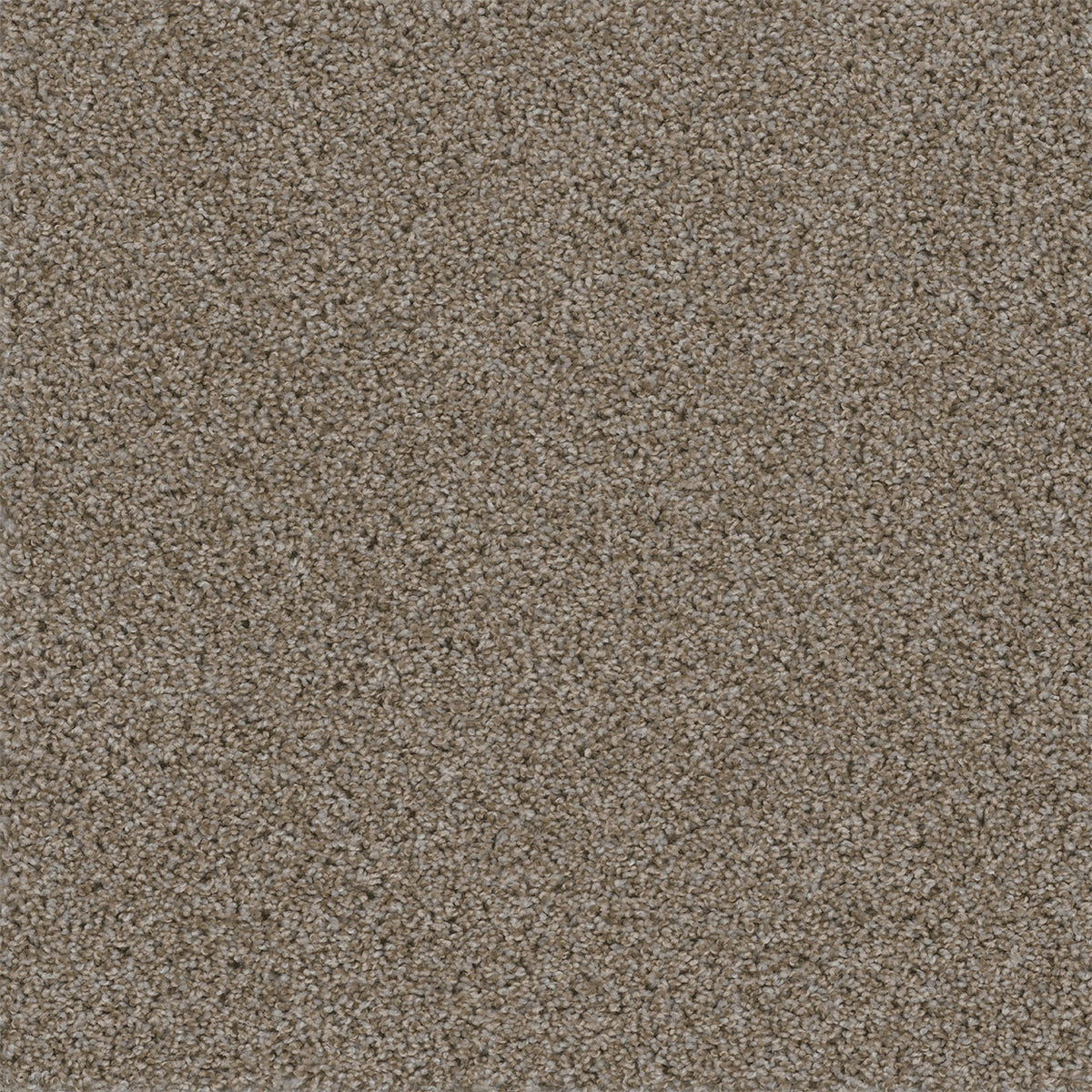 Walk In The Park - Granite