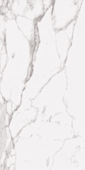 Roca Tile - Statuary White 24 x 48 R Up