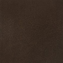 Walnut 6x6.jpg