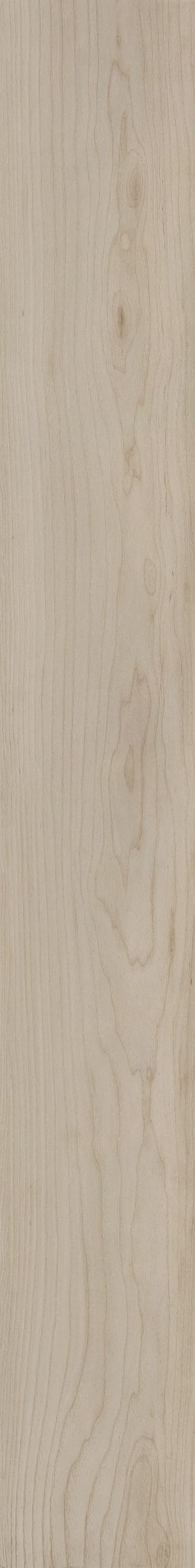 SANDSTONE MAPLE 1TO1