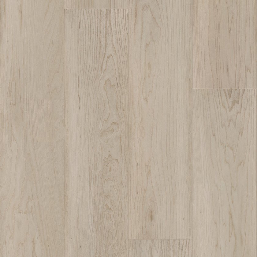 COASTAL LUXE SANDSTONE MAPLE MAIN