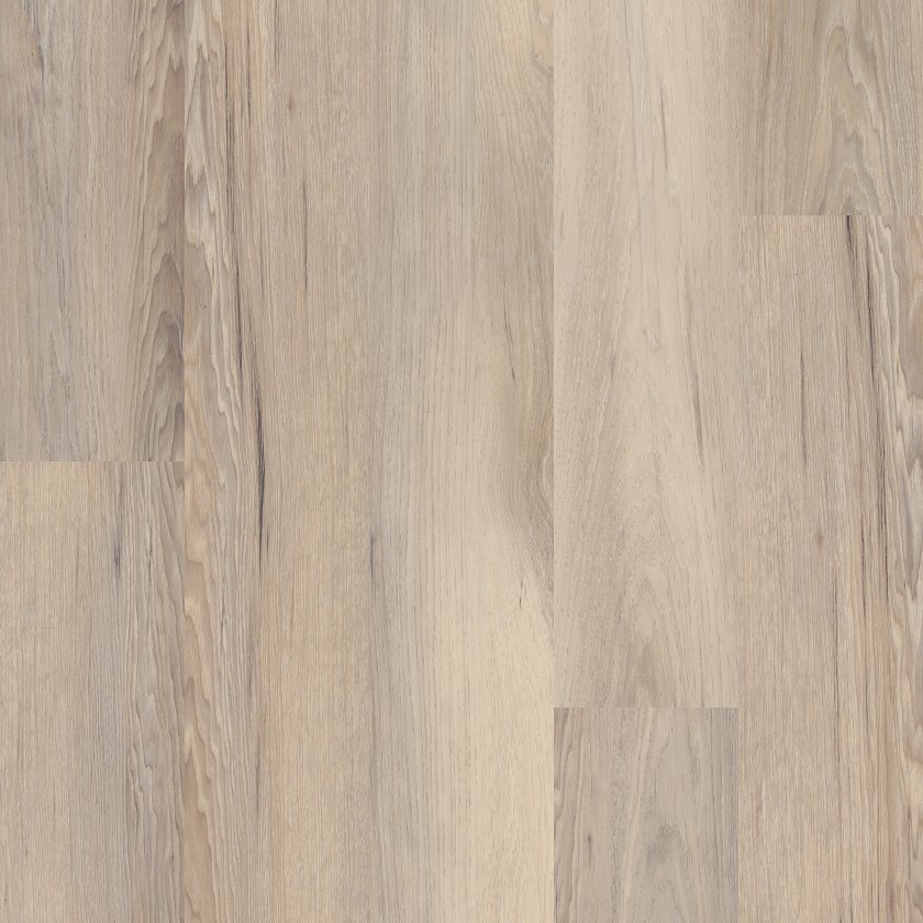 CORETEC ORIGINAL CLASSICS VV585 VENTURE CHESTNUT MAIN